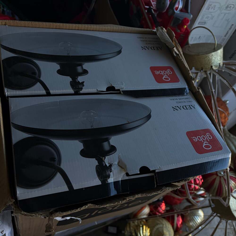 Globe Electric Aedan 1-Light Black Swivel Wall Sconce